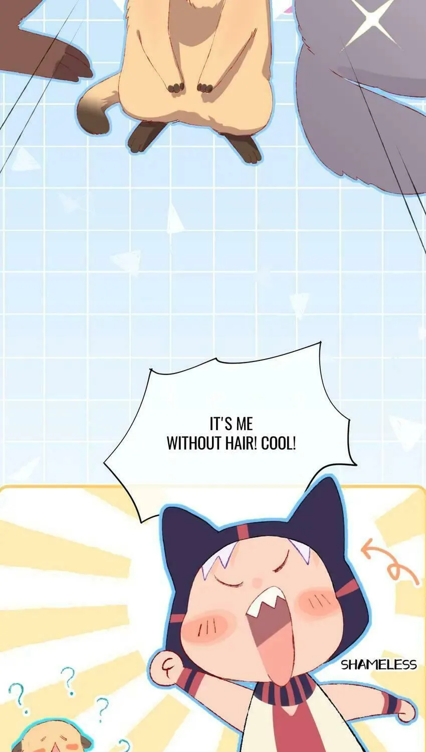 Read Dragon Baby Sitting chapter 12 image 8 on Lezhin