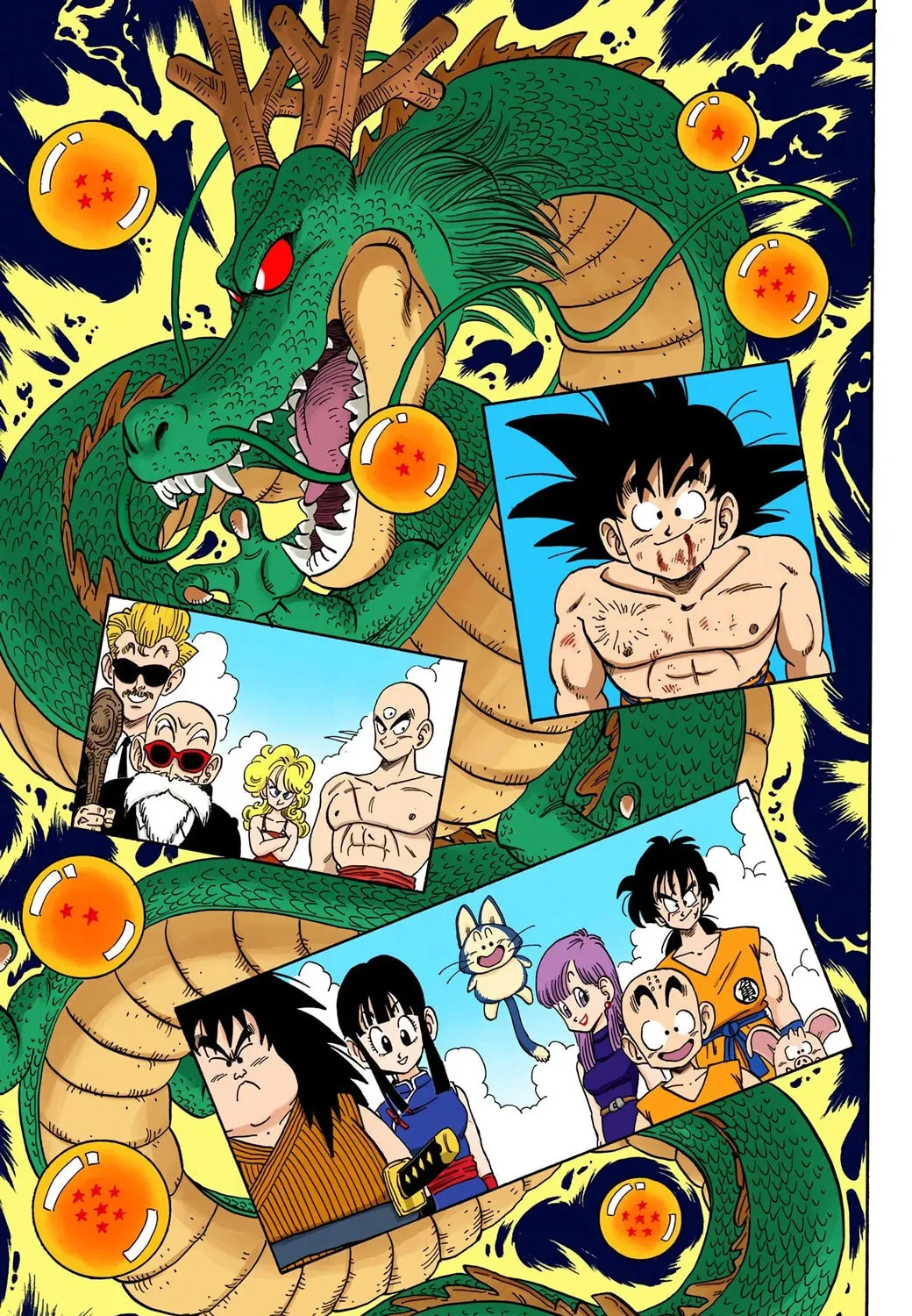 Read Dragon Ball (Colored) chapter 194 image 16 on Lezhin