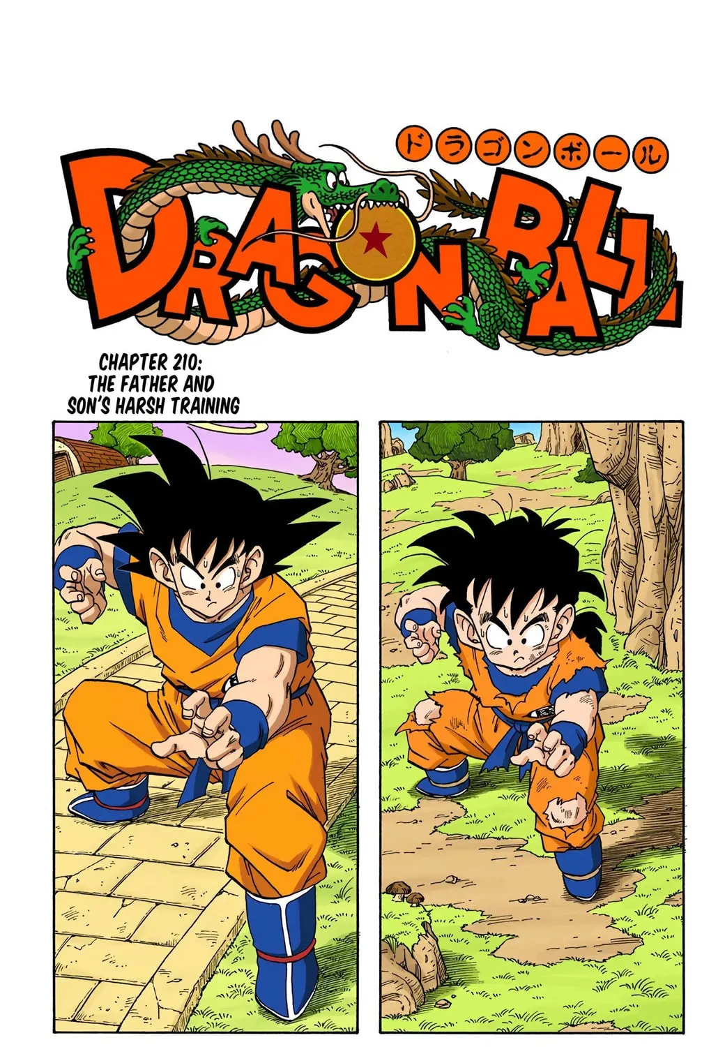 Read Dragon Ball (Colored) chapter 210 image 0 on Lezhin