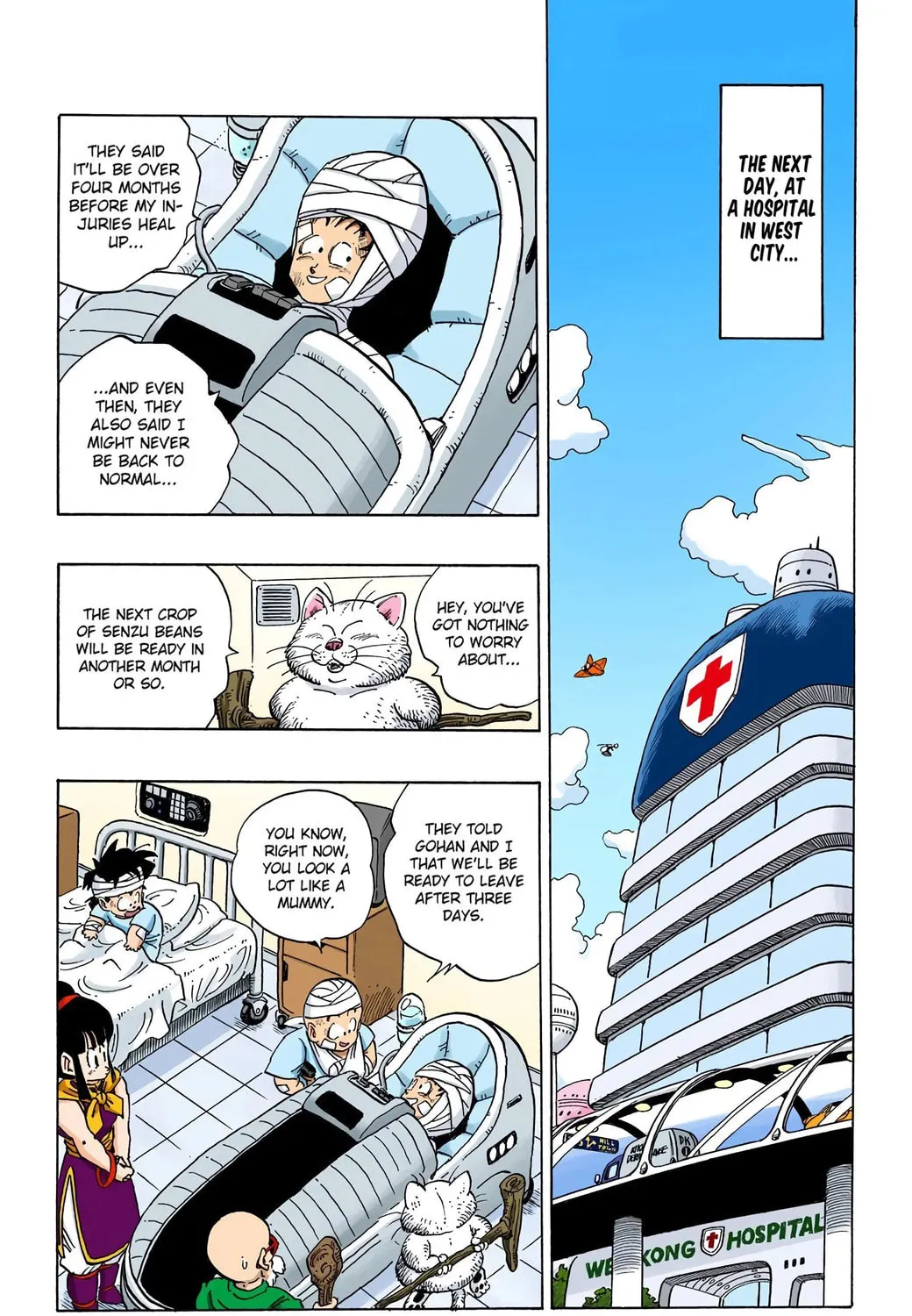 Read Dragon Ball (Colored) chapter 243 image 18 on Lezhin