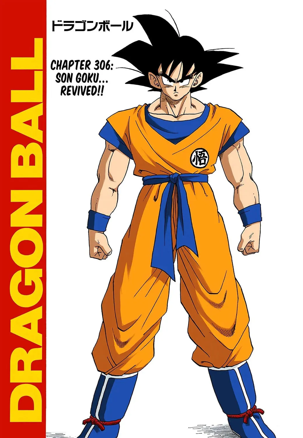 Read Dragon Ball (Colored) chapter 306 image 2 on Lezhin