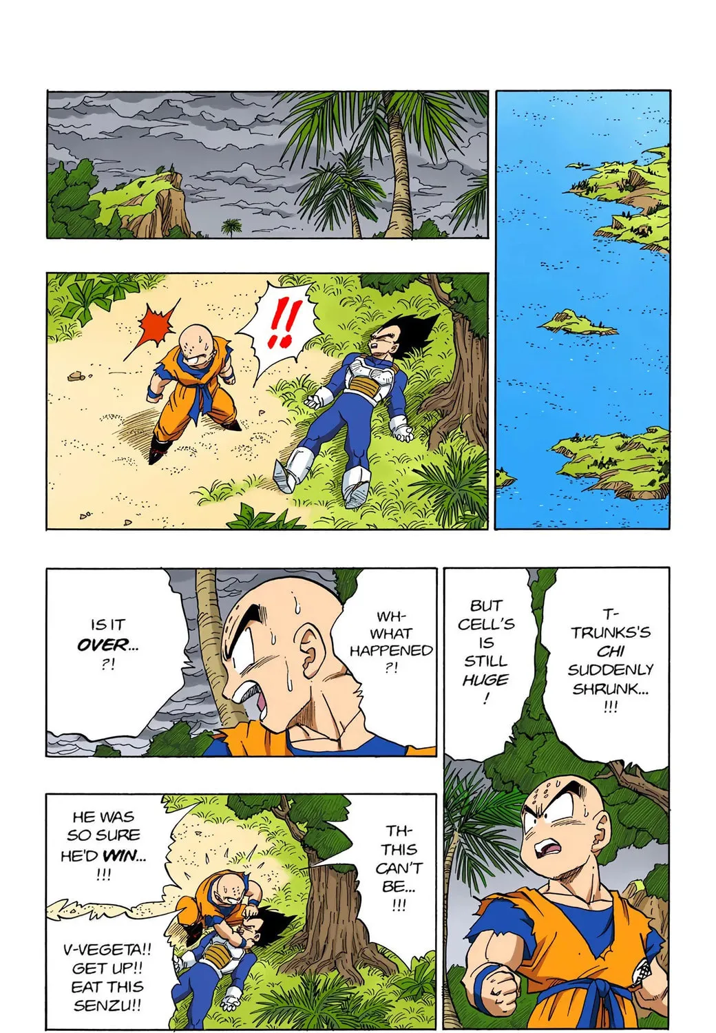Read Dragon Ball (Colored) chapter 388 image 10 on Lezhin