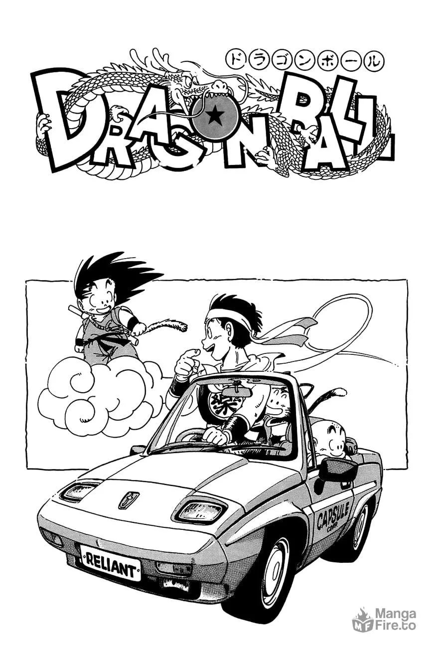 Read Dragon Ball Perfect Edition chapter 104 image 19 on Lezhin