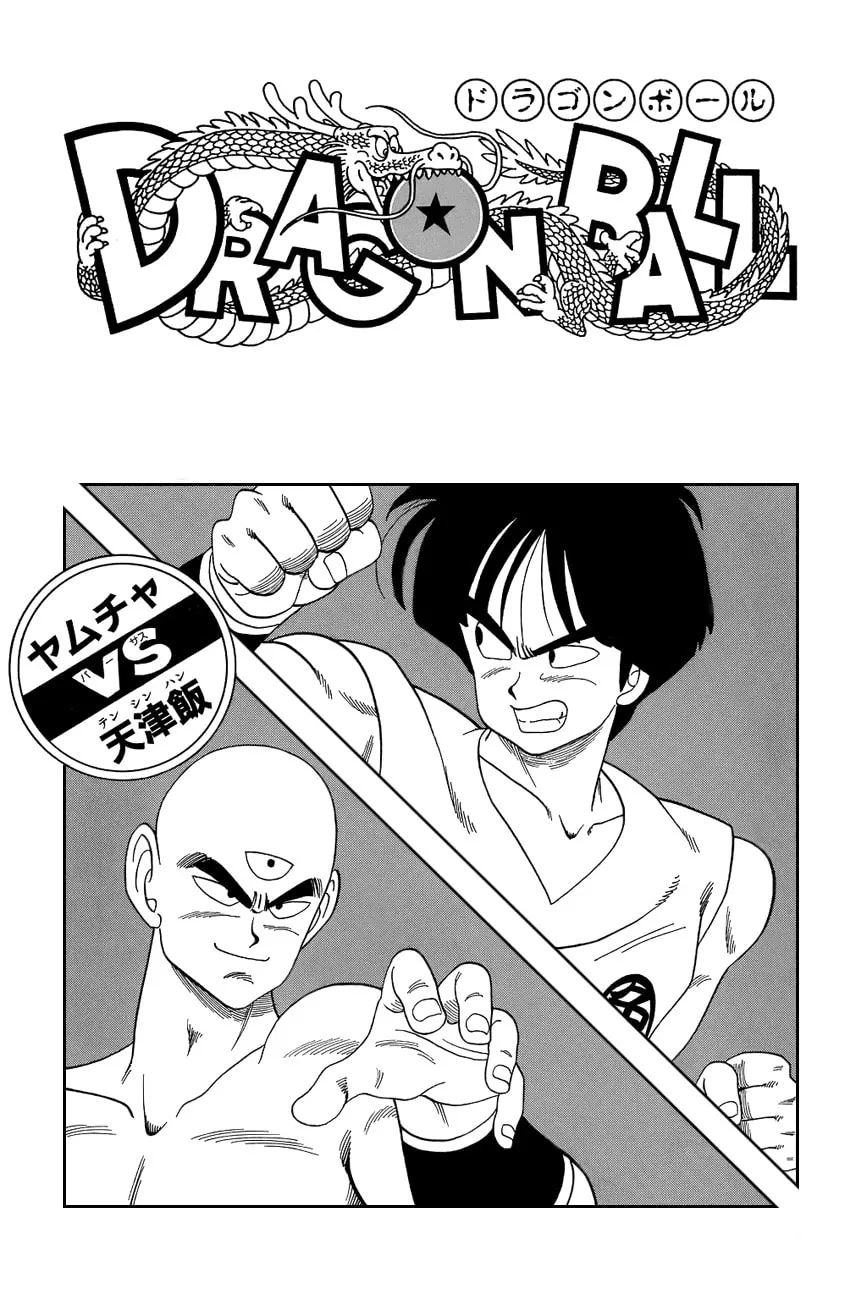 Read Dragon Ball Perfect Edition chapter 119 image 21 on Lezhin