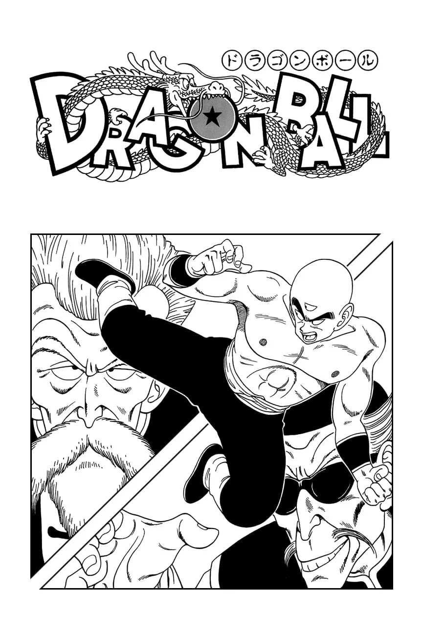 Read Dragon Ball Perfect Edition chapter 134 image 16 on Lezhin