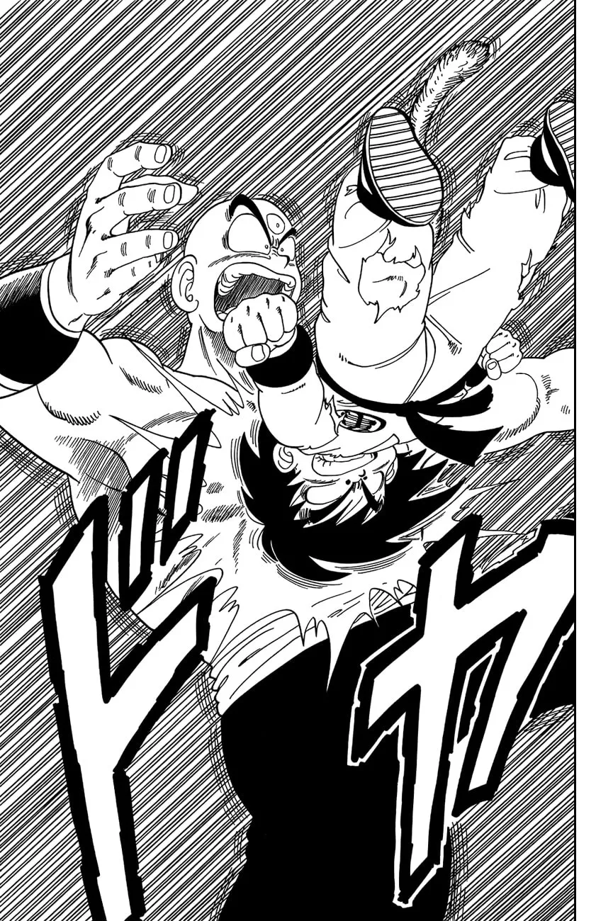 Read Dragon Ball Perfect Edition chapter 134 image 3 on Lezhin