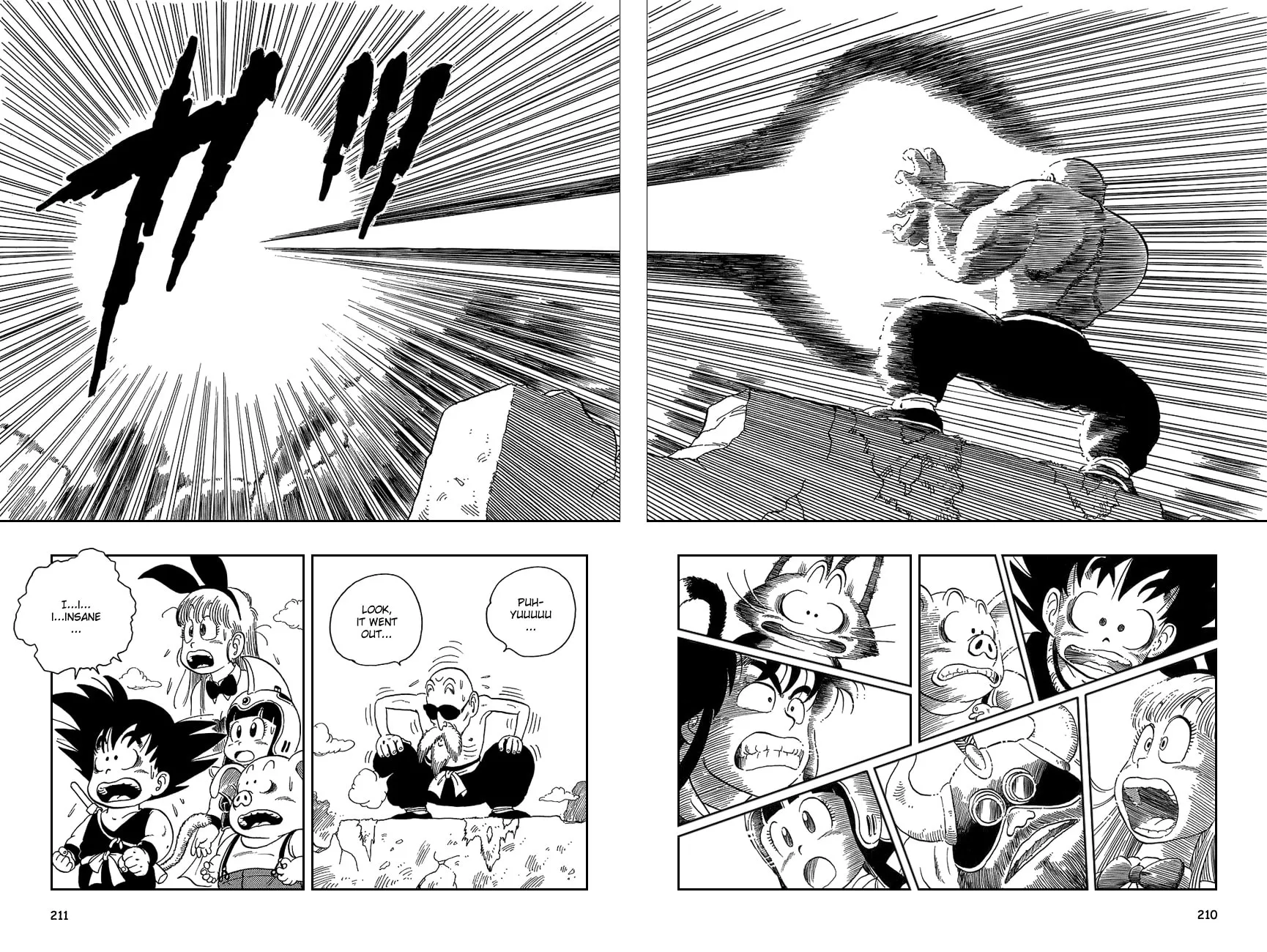 Read Dragon Ball Perfect Edition chapter 14 image 10 on Lezhin