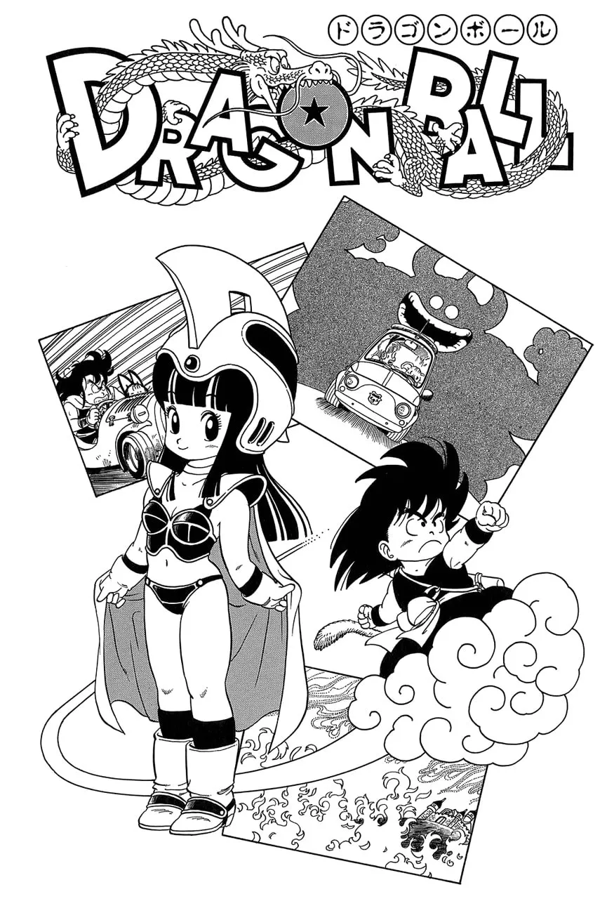 Read Dragon Ball Perfect Edition chapter 14 image 22 on Lezhin