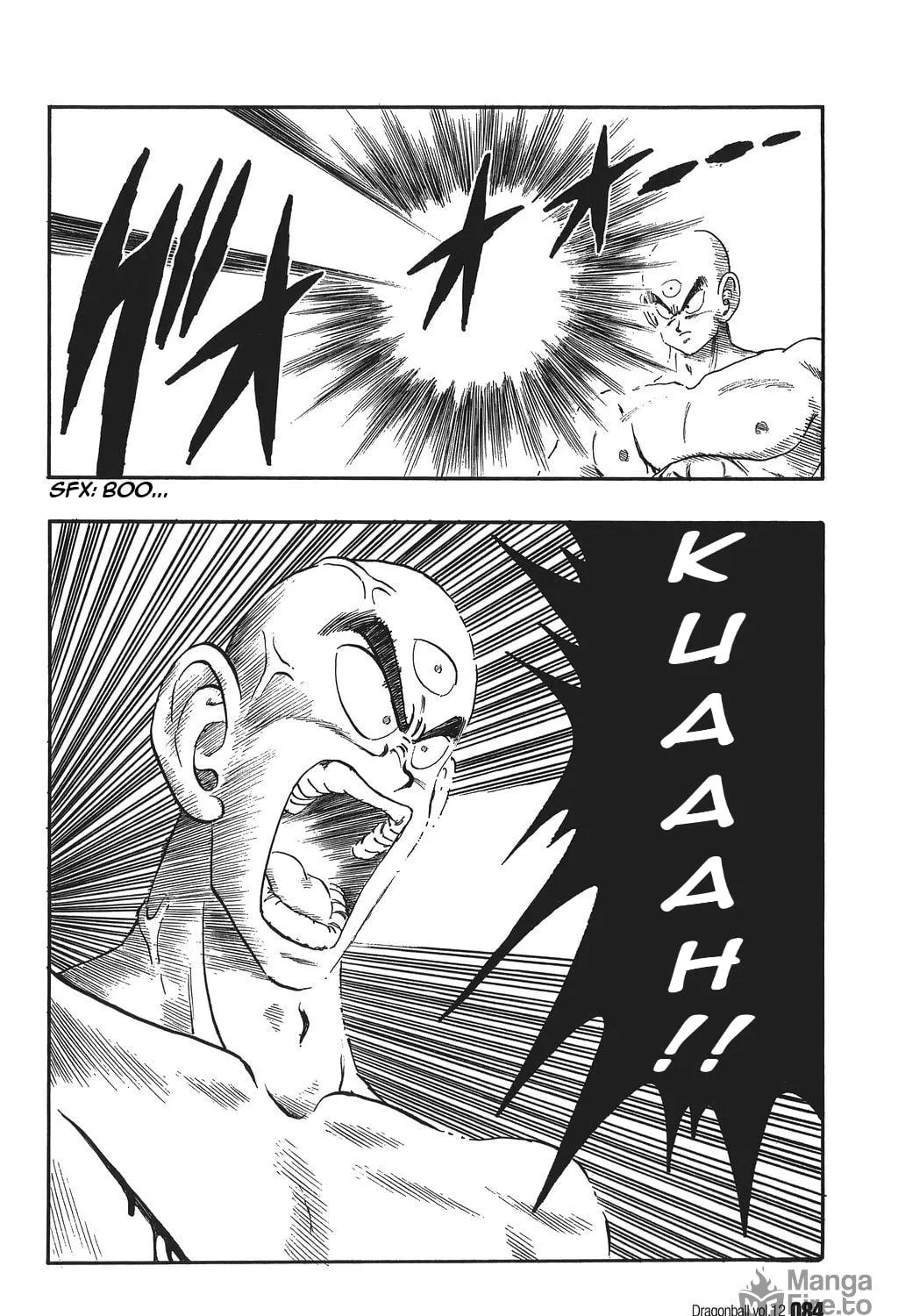 Read Dragon Ball Perfect Edition chapter 170 image 16 on Lezhin