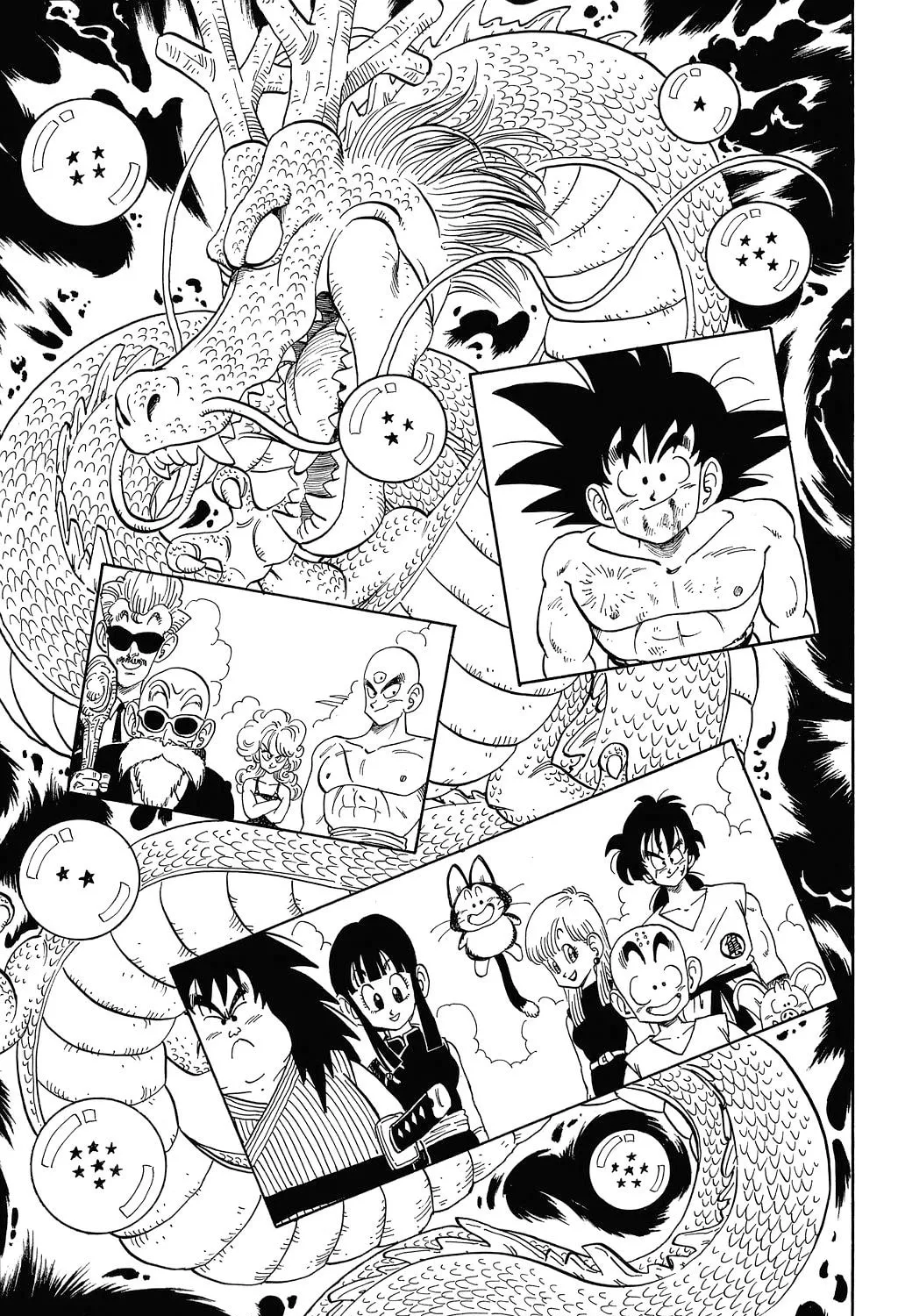 Read Dragon Ball Perfect Edition chapter 194 image 14 on Lezhin