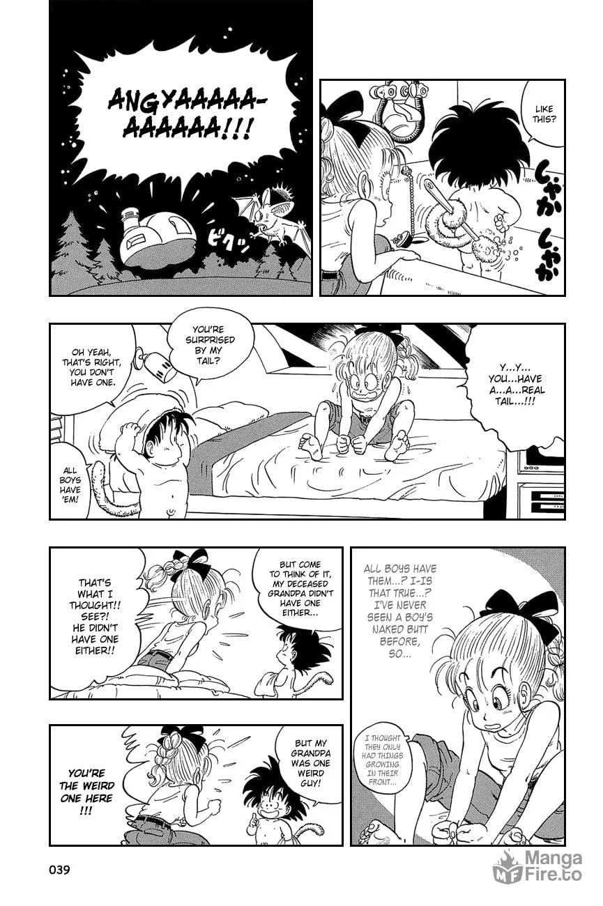 Read Dragon Ball Perfect Edition chapter 2 image 5 on Lezhin
