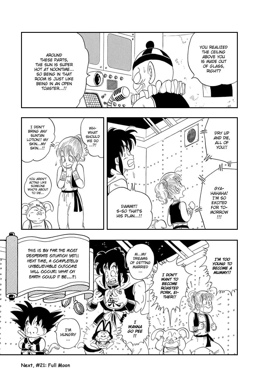 Read Dragon Ball Perfect Edition chapter 20 image 13 on Lezhin