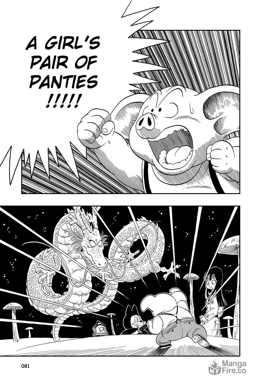 Read Dragon Ball Perfect Edition chapter 20 image 5 on Lezhin