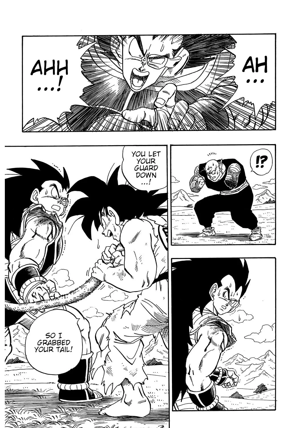 Read Dragon Ball Perfect Edition chapter 202 image 13 on Lezhin