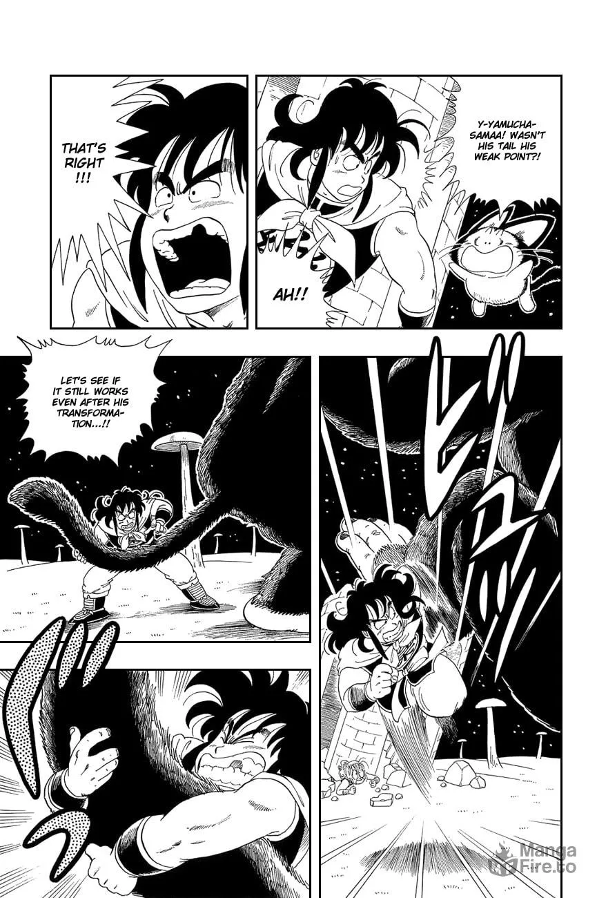 Read Dragon Ball Perfect Edition chapter 22 image 11 on Lezhin