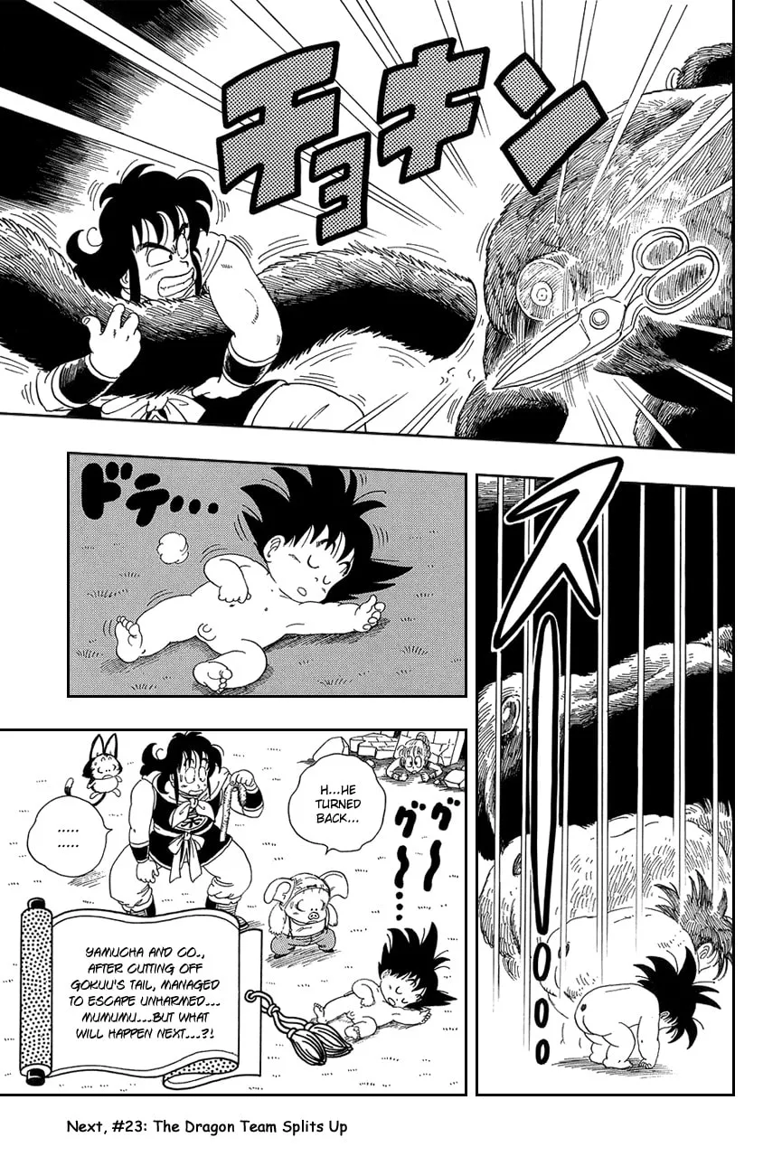 Read Dragon Ball Perfect Edition chapter 22 image 13 on Lezhin