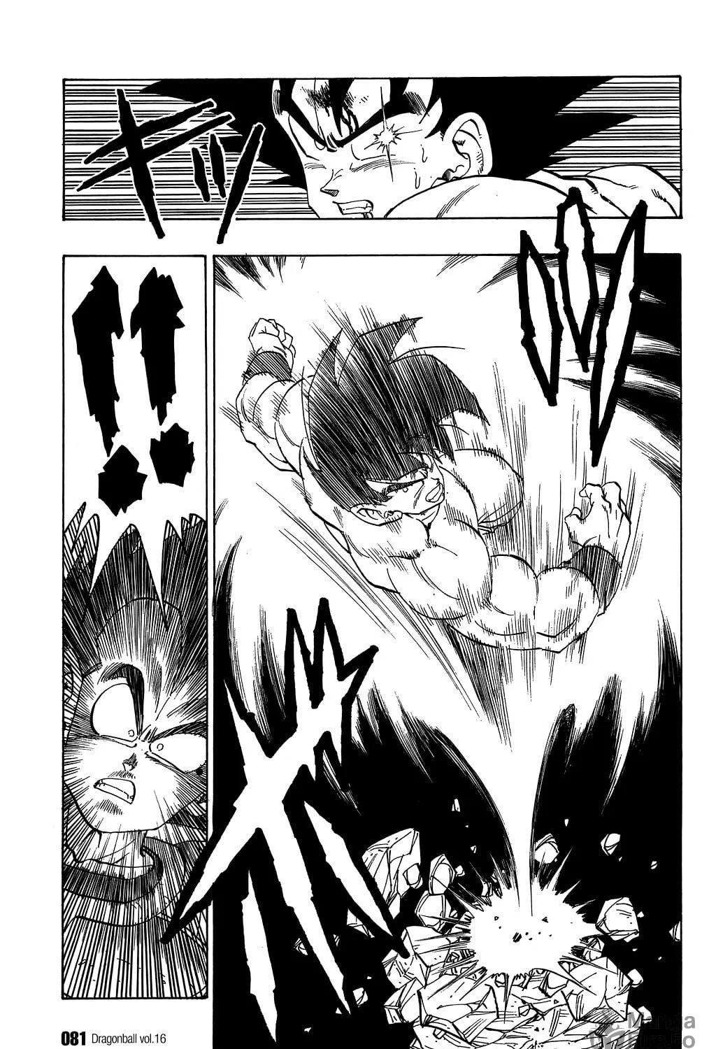 Read Dragon Ball Perfect Edition chapter 230 image 10 on Lezhin