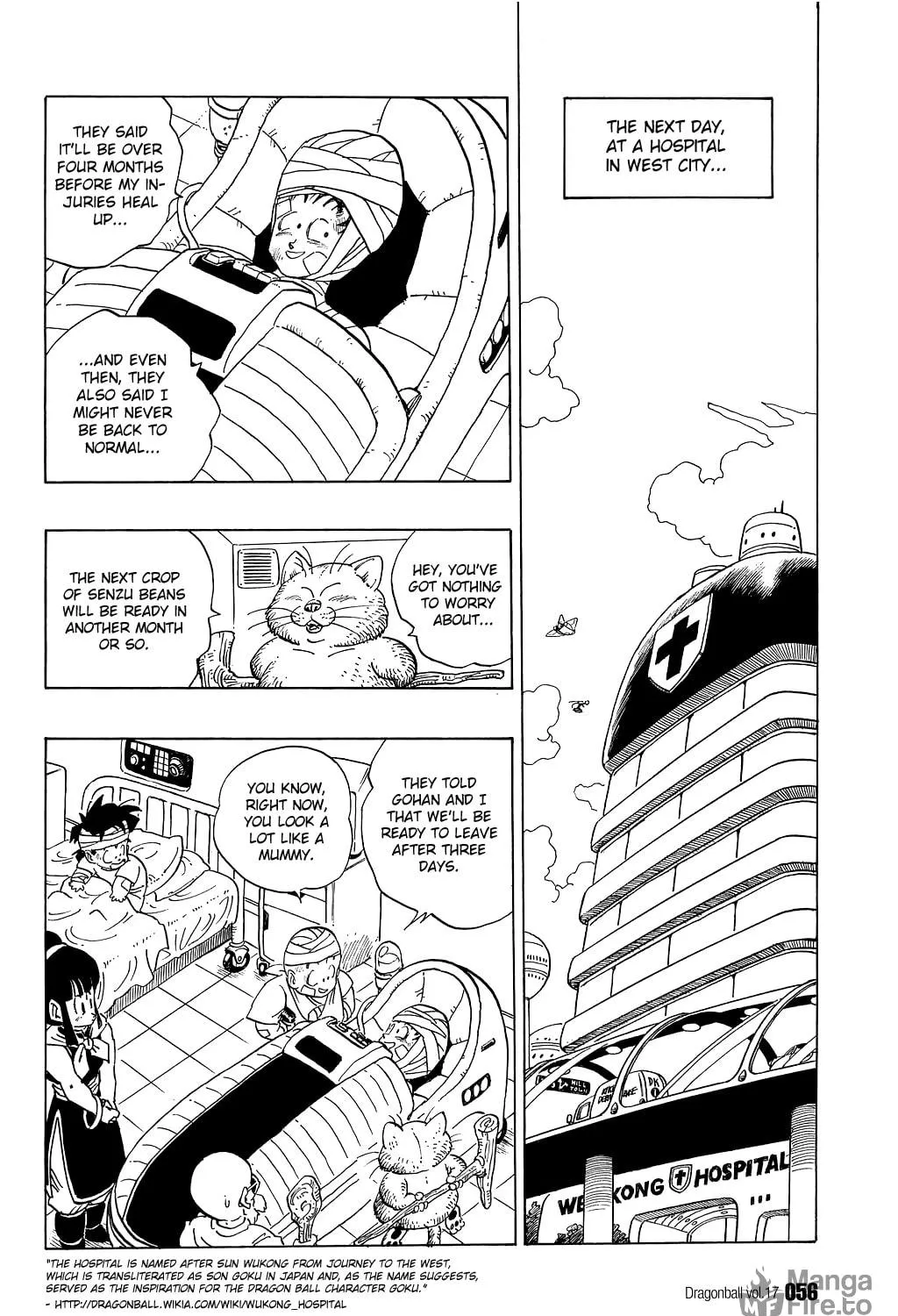 Read Dragon Ball Perfect Edition chapter 243 image 16 on Lezhin