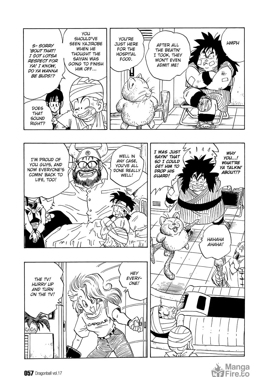 Read Dragon Ball Perfect Edition chapter 243 image 18 on Lezhin