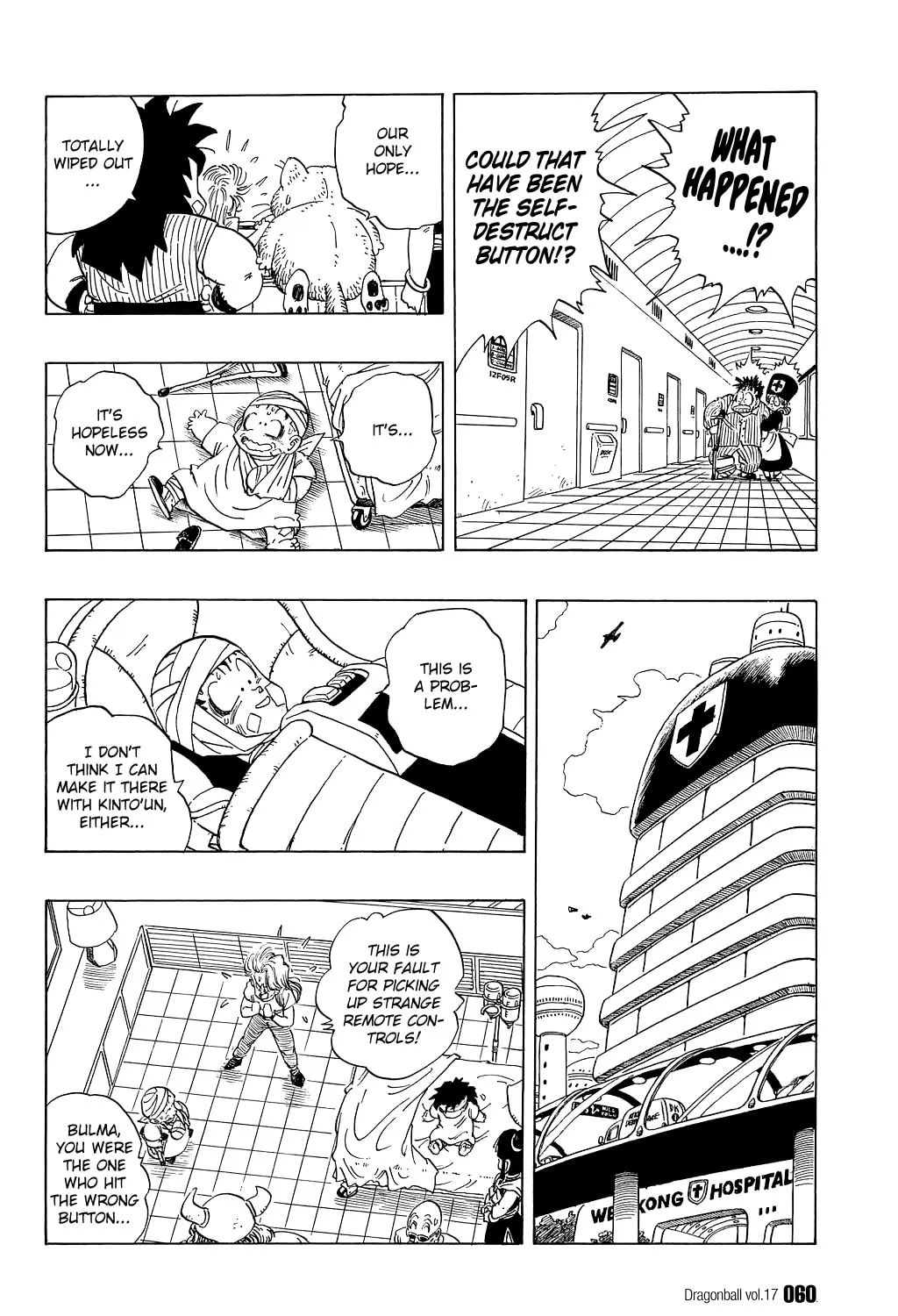 Read Dragon Ball Perfect Edition chapter 243 image 24 on Lezhin