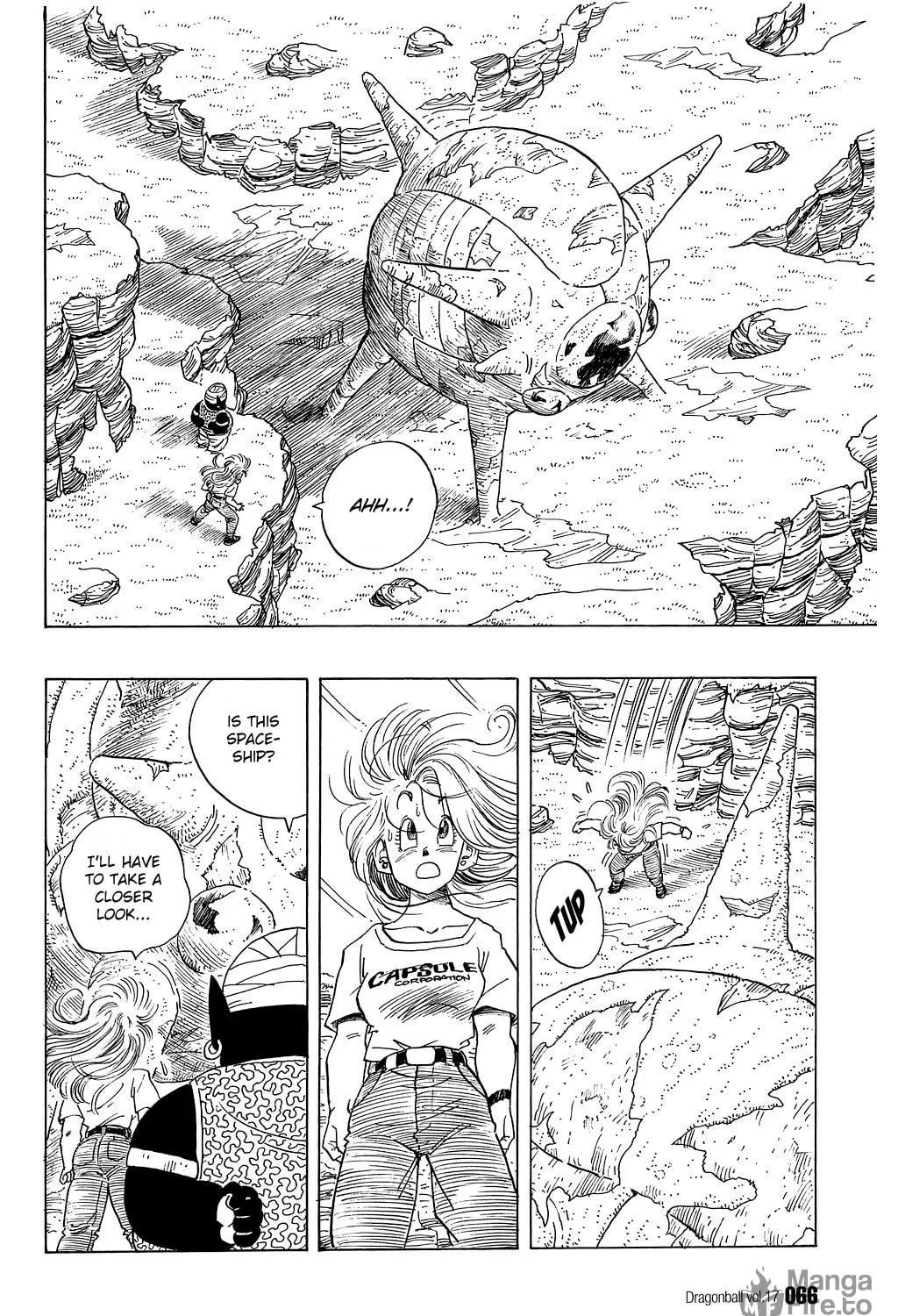 Read Dragon Ball Perfect Edition chapter 244 image 8 on Lezhin