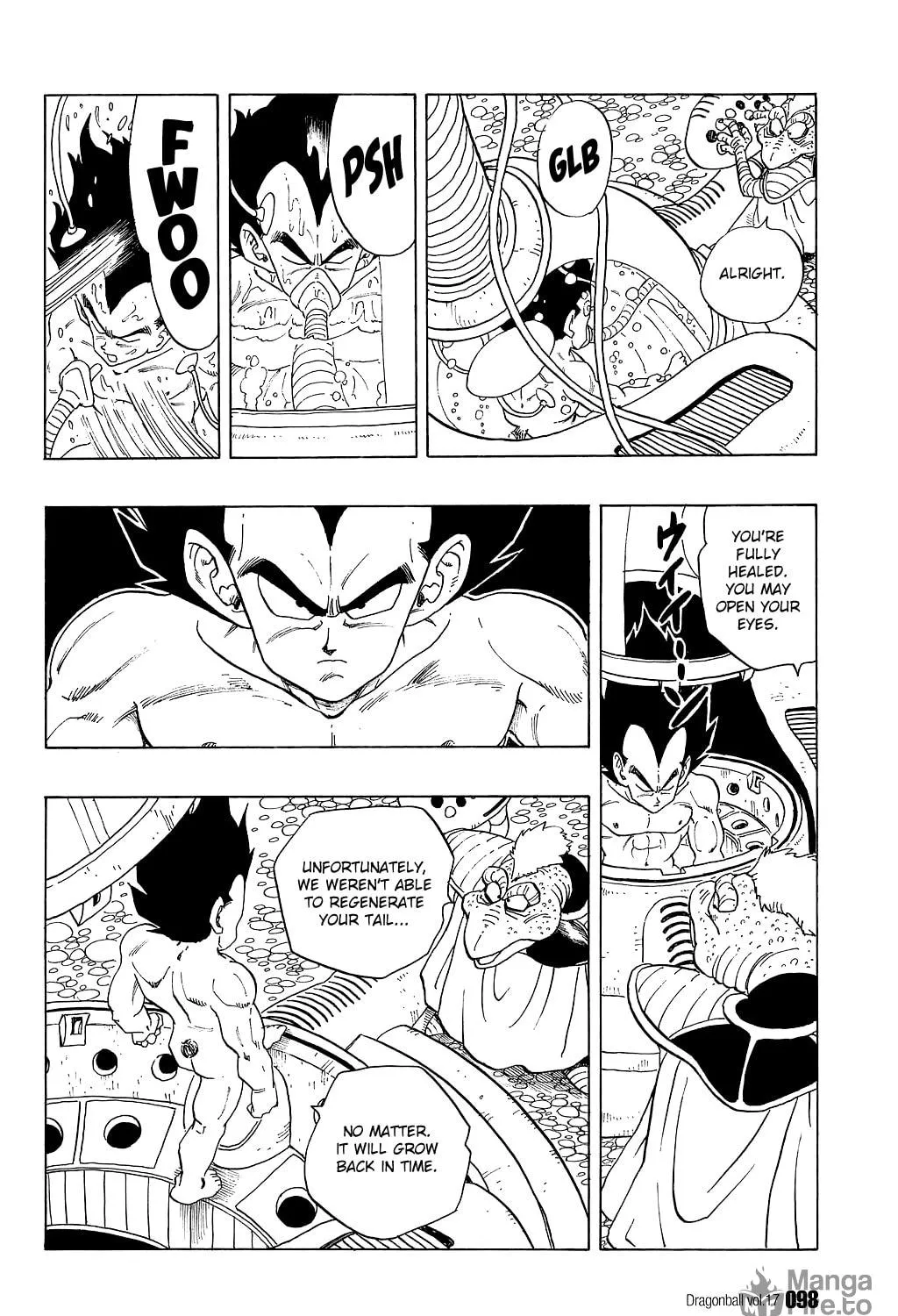 Read Dragon Ball Perfect Edition chapter 246 image 16 on Lezhin