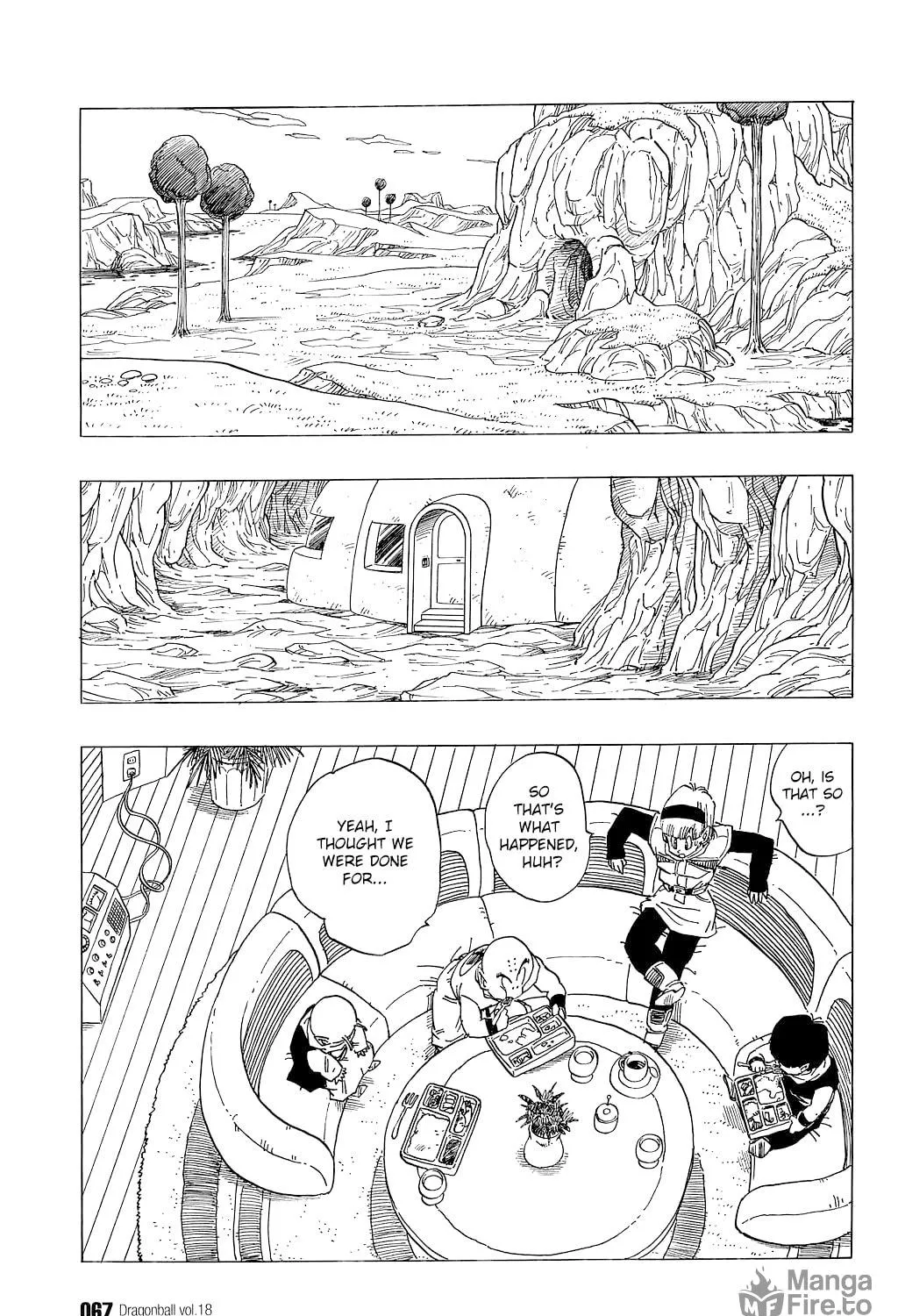 Read Dragon Ball Perfect Edition chapter 259 image 10 on Lezhin
