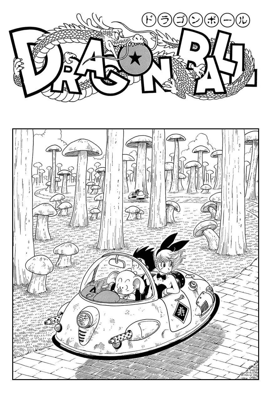 Read Dragon Ball Perfect Edition chapter 29 image 0 on Lezhin