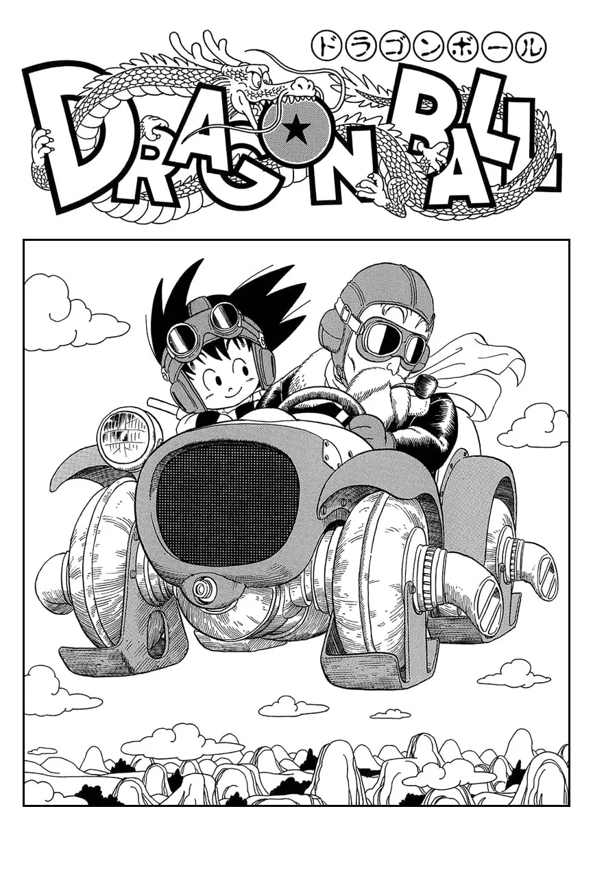 Read Dragon Ball Perfect Edition chapter 29 image 10 on Lezhin