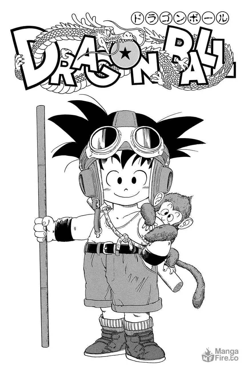 Read Dragon Ball Perfect Edition chapter 29 image 11 on Lezhin