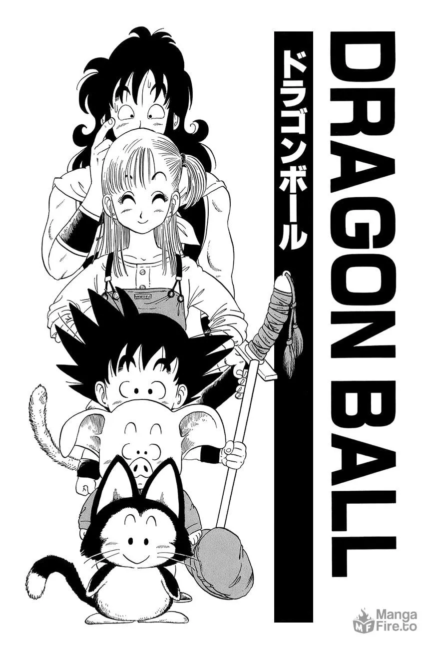 Read Dragon Ball Perfect Edition chapter 29 image 2 on Lezhin