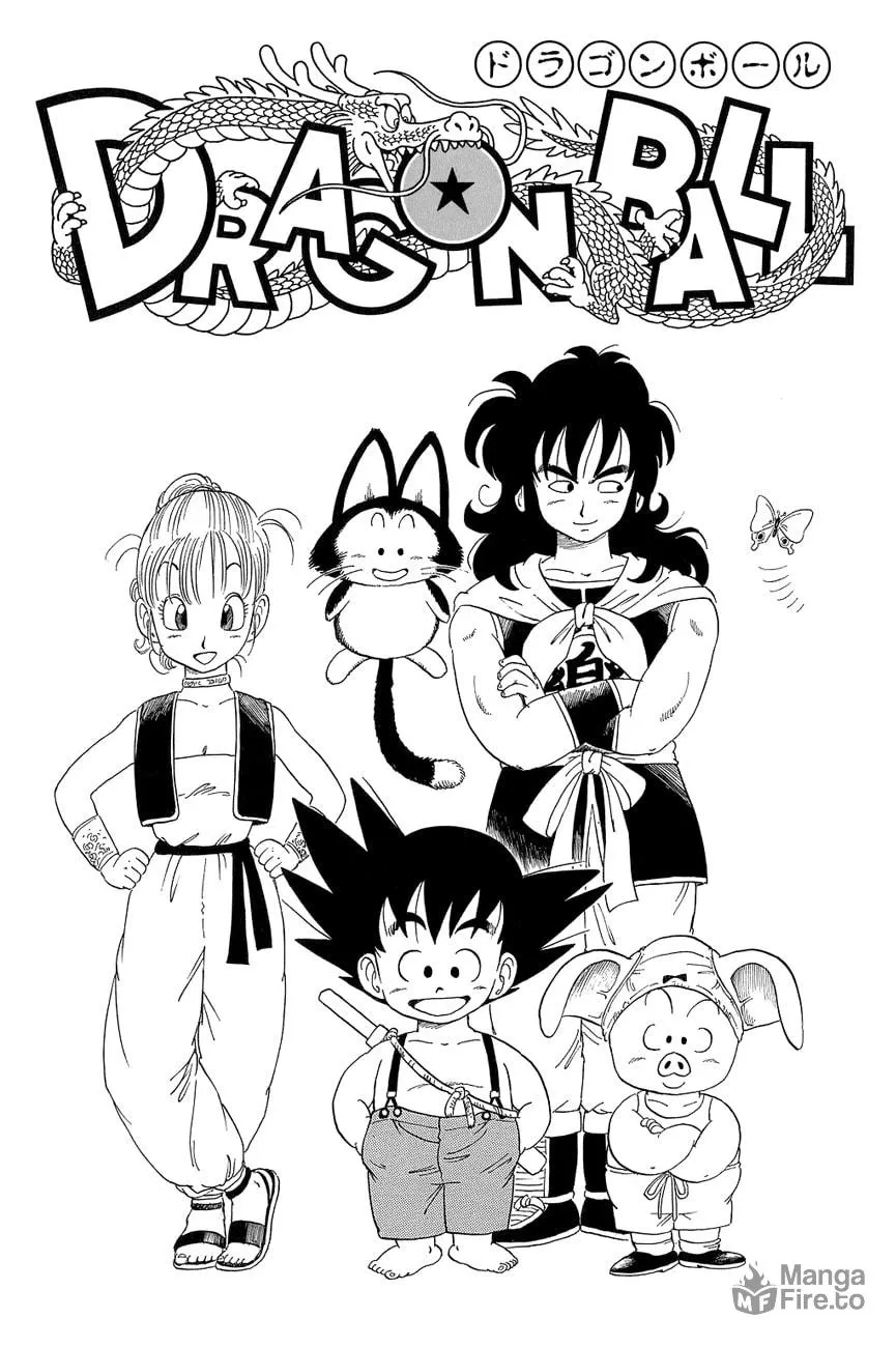 Read Dragon Ball Perfect Edition chapter 29 image 5 on Lezhin