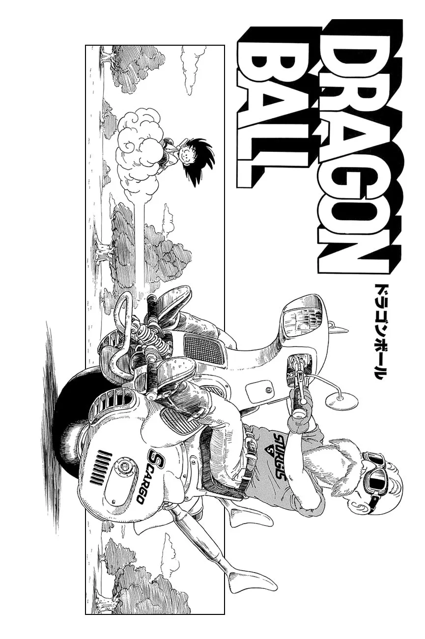 Read Dragon Ball Perfect Edition chapter 29 image 6 on Lezhin