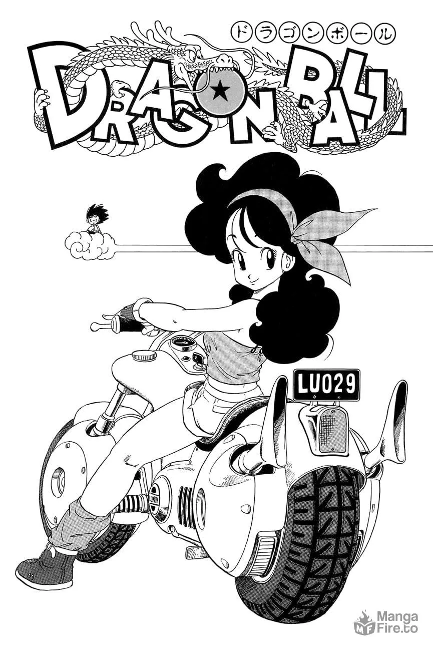 Read Dragon Ball Perfect Edition chapter 29 image 8 on Lezhin