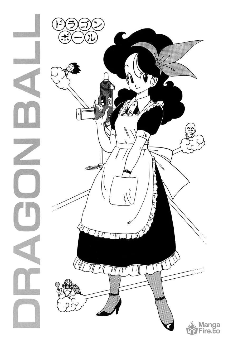 Read Dragon Ball Perfect Edition chapter 29 image 9 on Lezhin