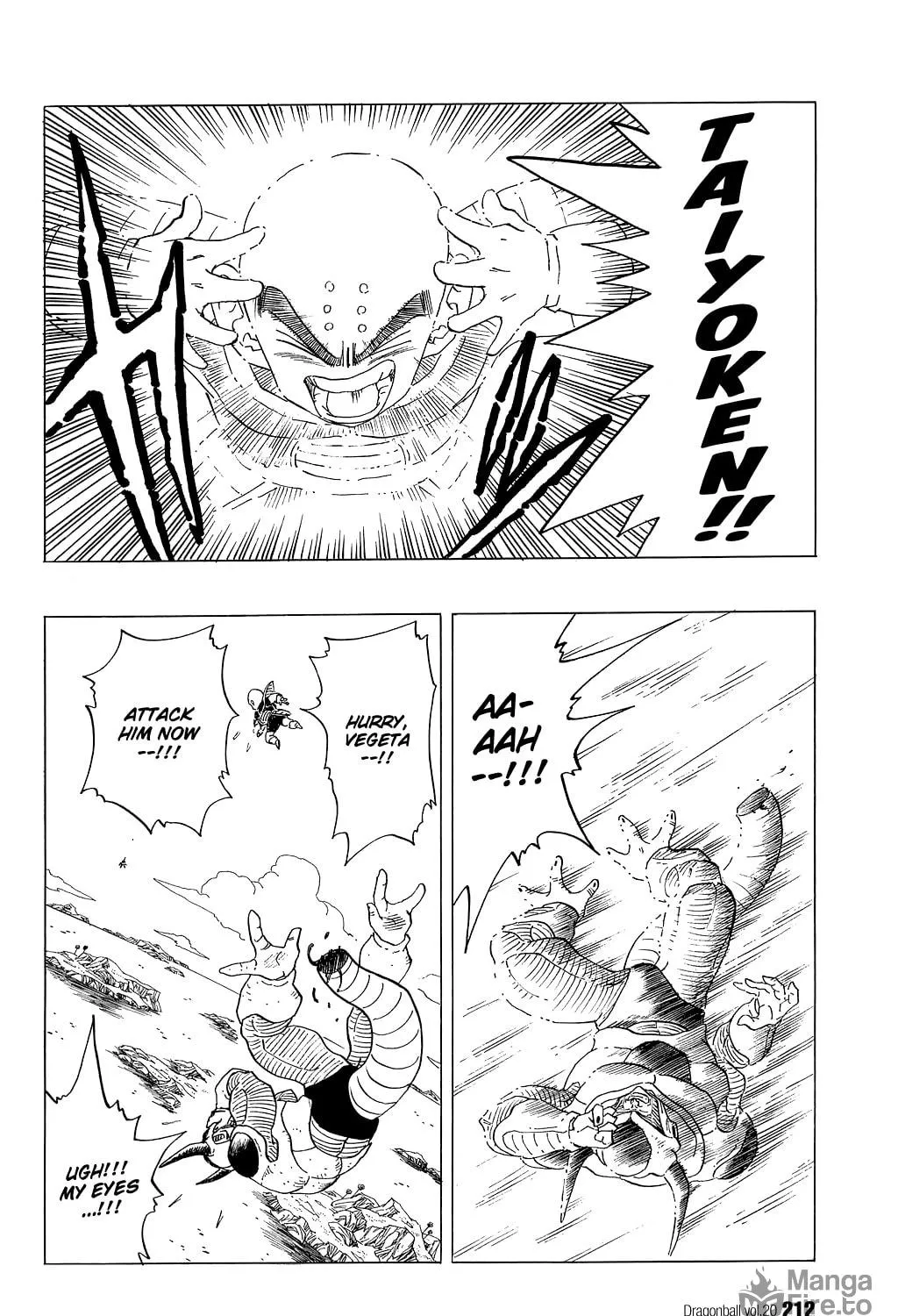 Read Dragon Ball Perfect Edition chapter 299 image 16 on Lezhin
