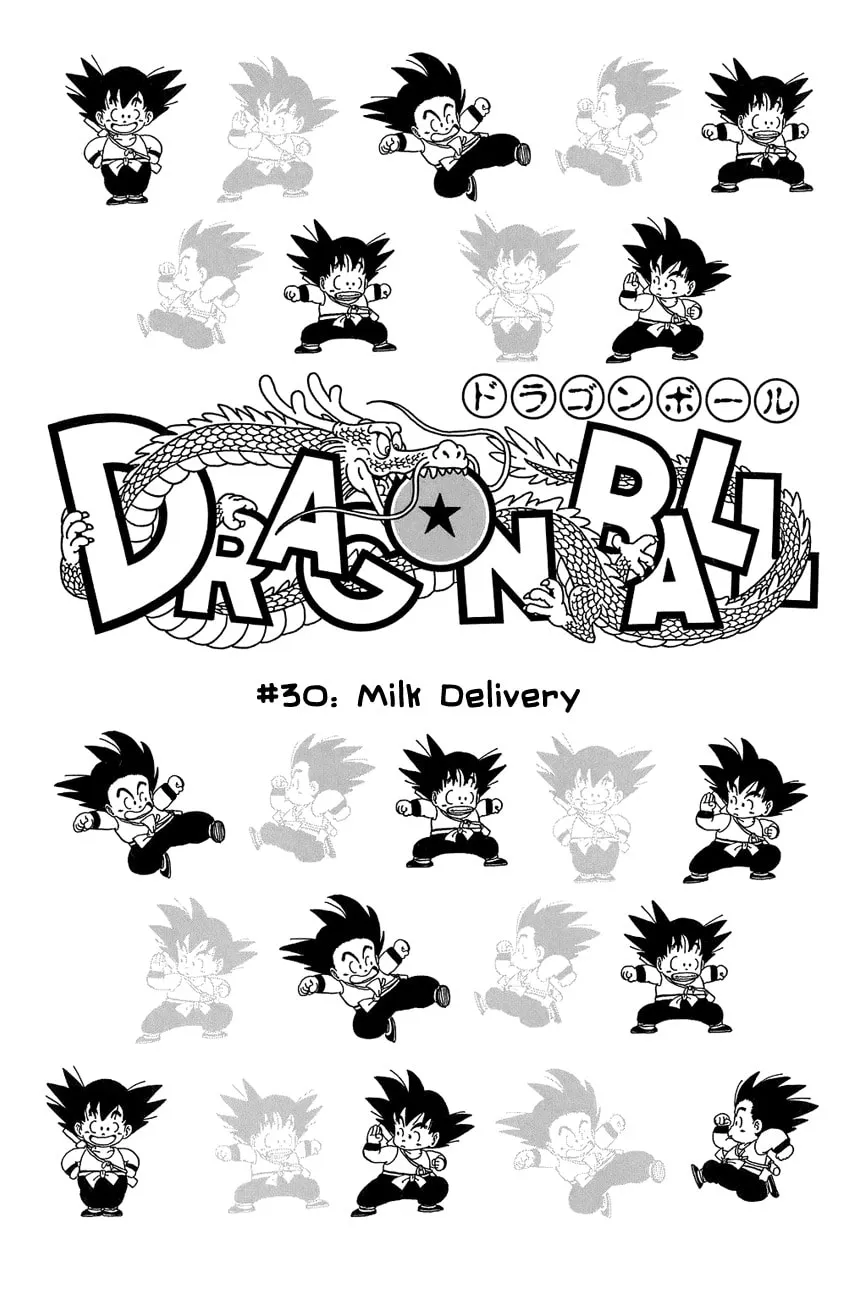Read Dragon Ball Perfect Edition chapter 30 image 0 on Lezhin