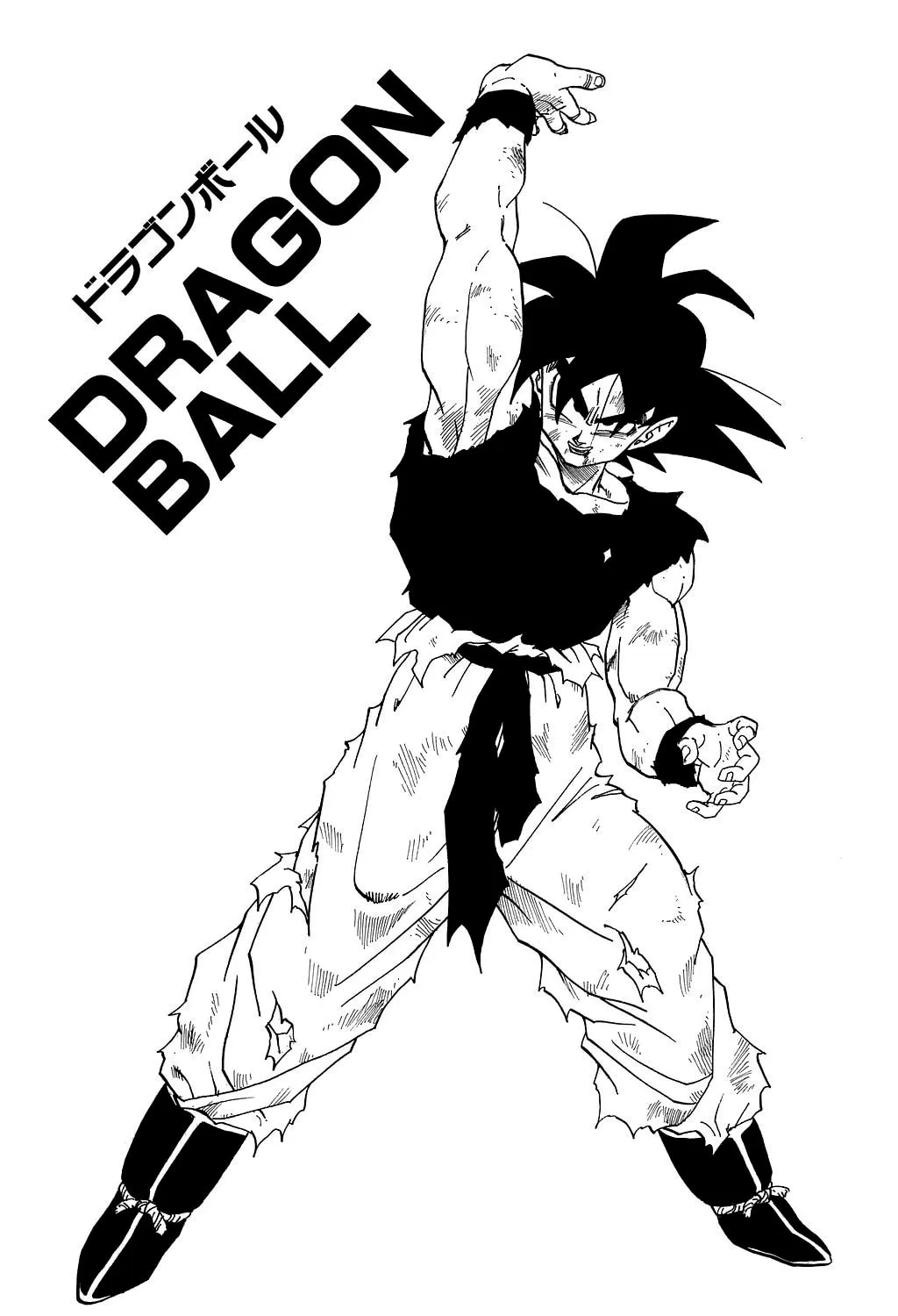 Read Dragon Ball Perfect Edition chapter 315 image 0 on Lezhin