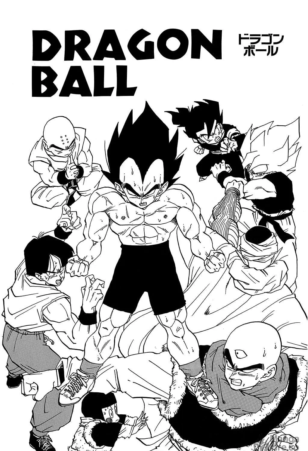 Read Dragon Ball Perfect Edition chapter 344 image 37 on Lezhin