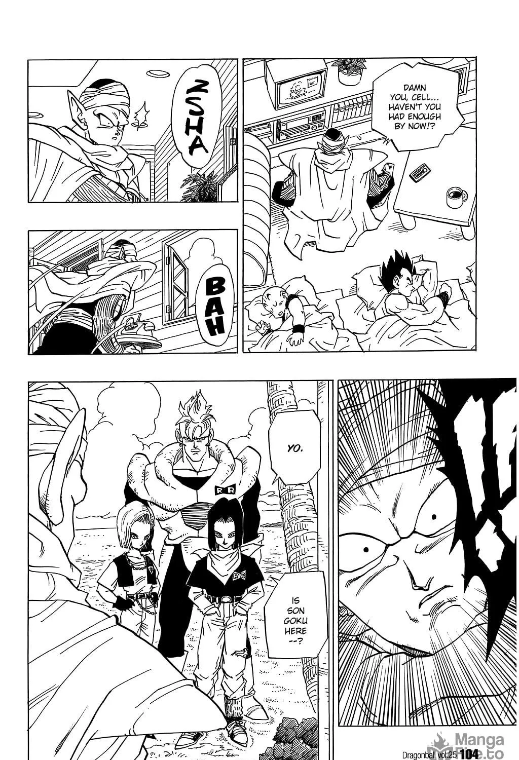 Read Dragon Ball Perfect Edition chapter 366 image 18 on Lezhin