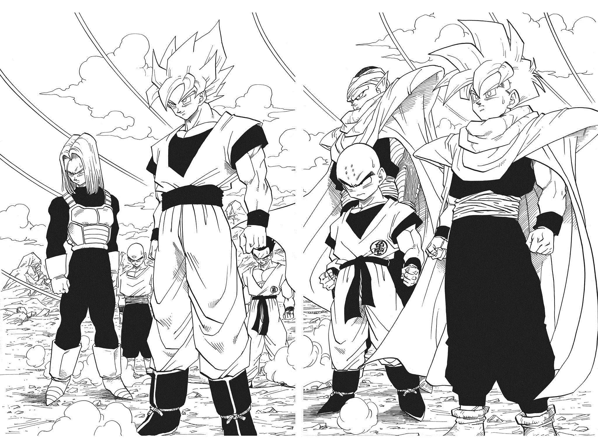 Read Dragon Ball Perfect Edition chapter 395 image 14 on Lezhin