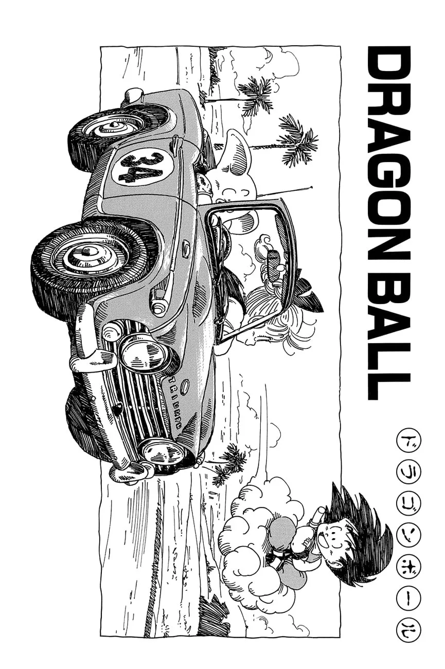 Read Dragon Ball Perfect Edition chapter 44 image 21 on Lezhin
