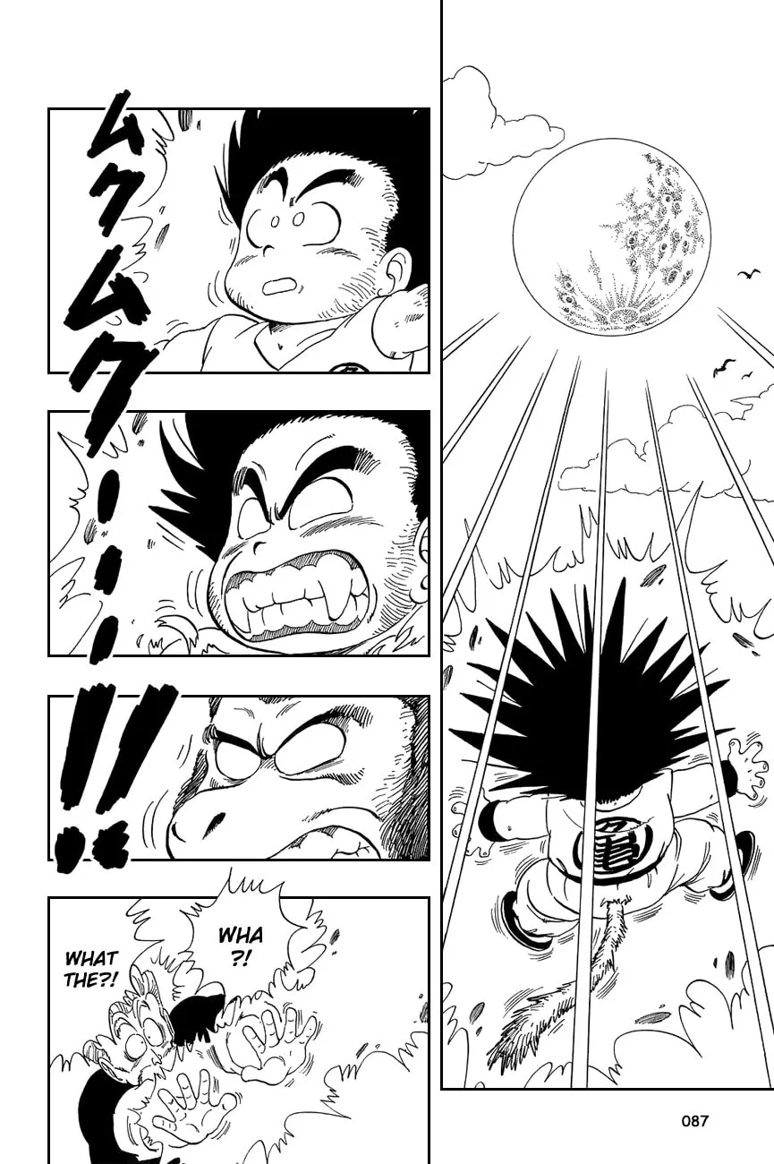 Read Dragon Ball Perfect Edition chapter 50 image 12 on Lezhin