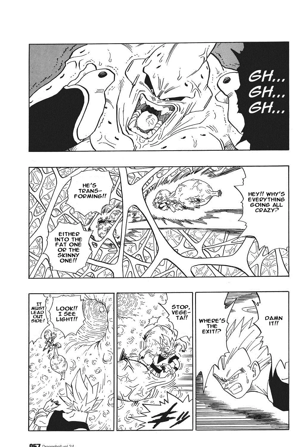 Read Dragon Ball Perfect Edition chapter 507 image 24 on Lezhin