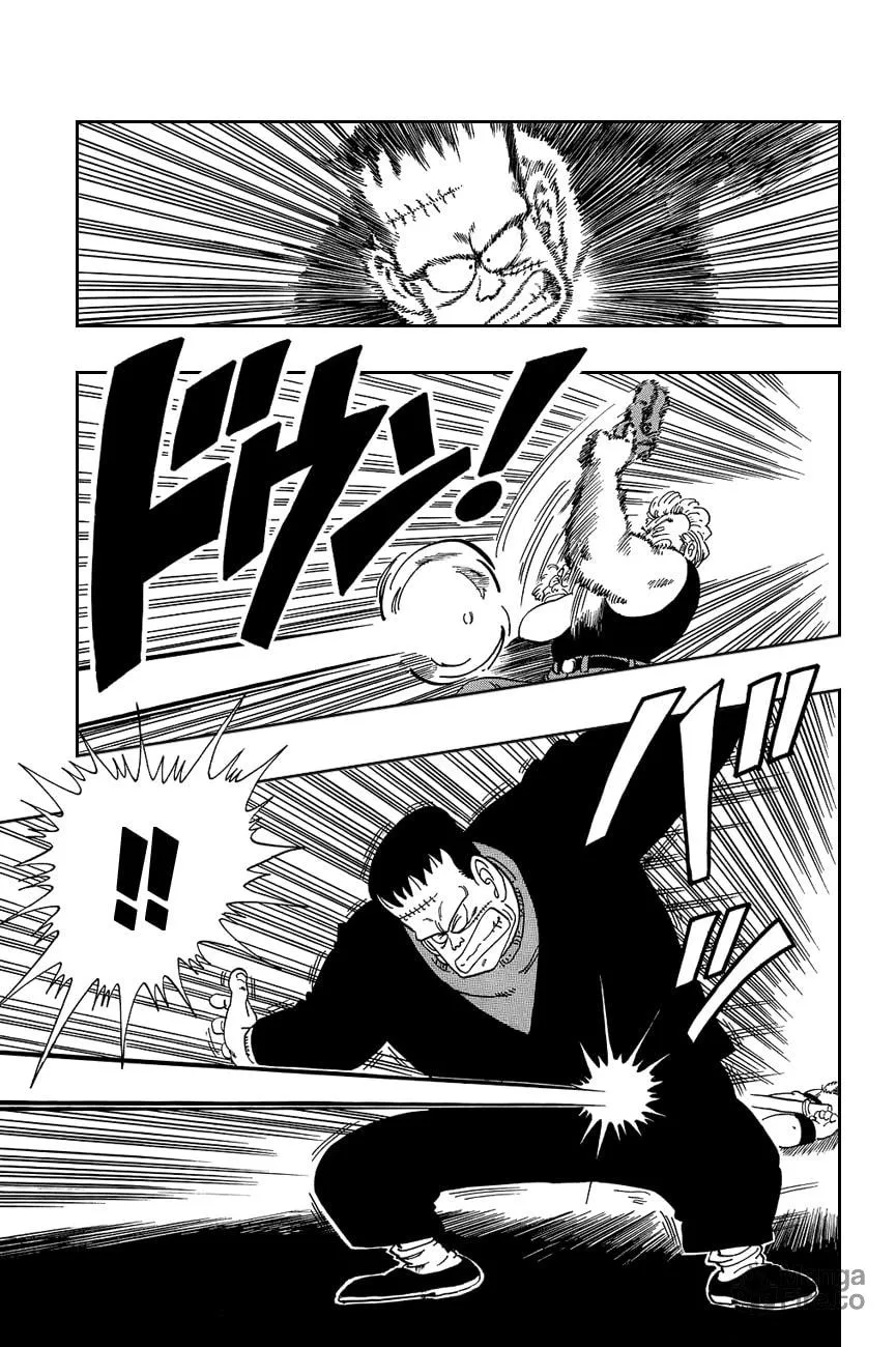 Read Dragon Ball Perfect Edition chapter 66 image 9 on Lezhin