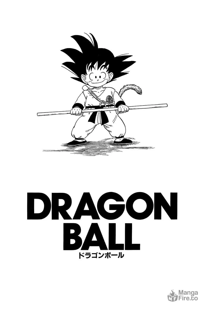 Read Dragon Ball Perfect Edition chapter 74 image 20 on Lezhin