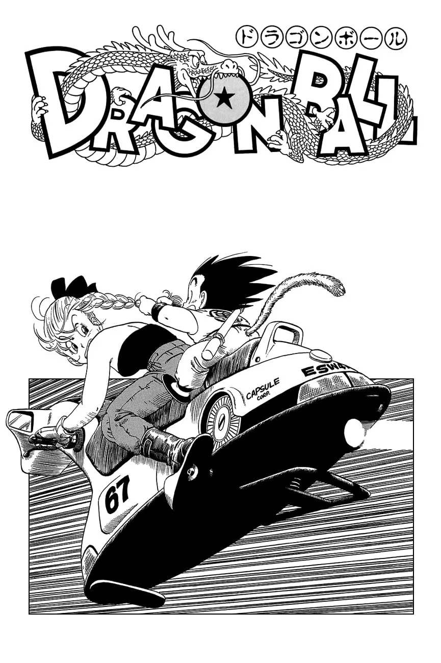 Read Dragon Ball Perfect Edition chapter 74 image 21 on Lezhin
