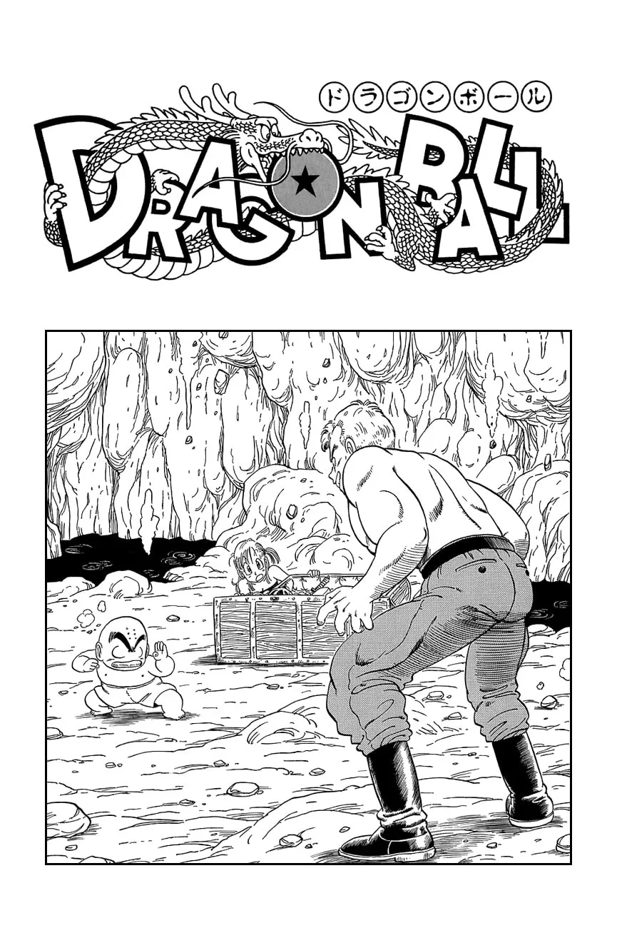 Read Dragon Ball Perfect Edition chapter 89 image 16 on Lezhin