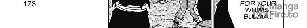 Dragon Ball Super Chapter 100 page 54 - 