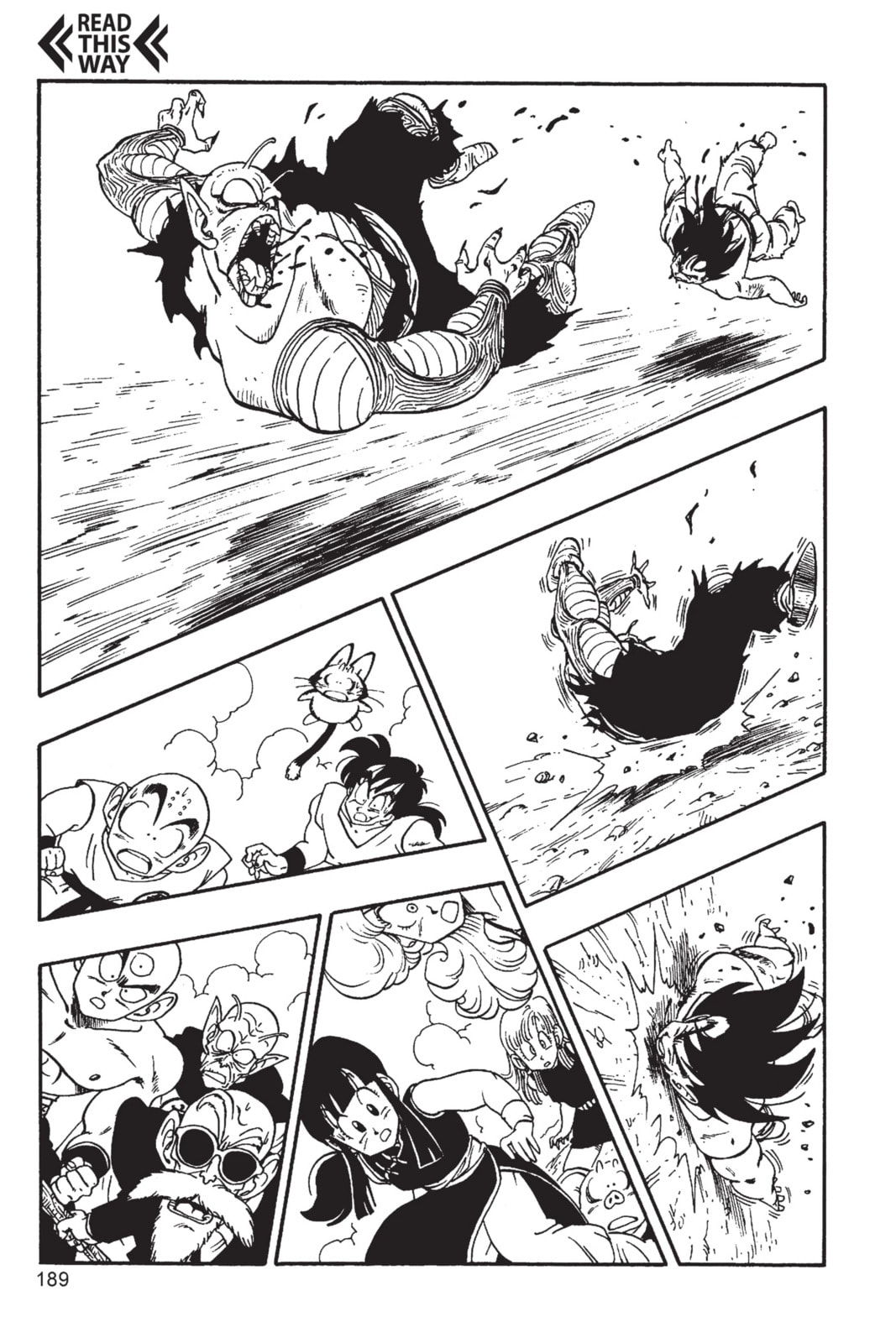 Dragon Ball Super Chapter 193 page 12 - 